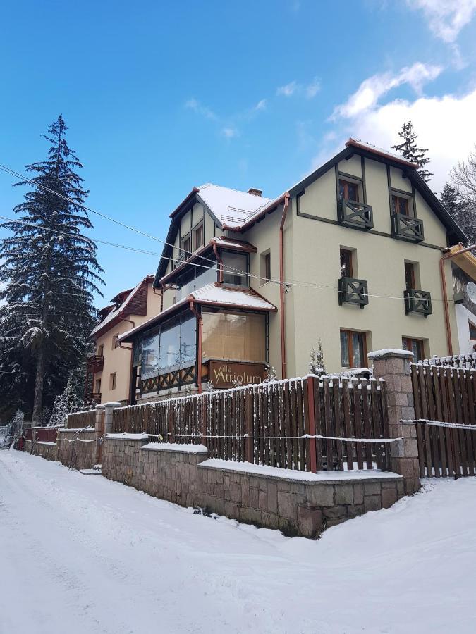 Villa Atriolum Бэиле-Тушнад Экстерьер фото