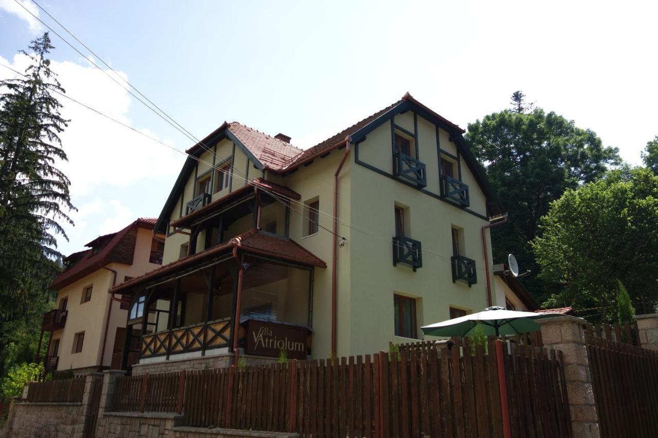Villa Atriolum Бэиле-Тушнад Номер фото